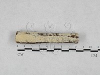 登錄號:F0025018藏品圖，第1張