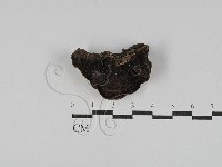 登錄號:F0025022藏品圖，第3張