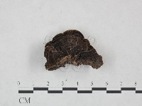 登錄號:F0025022藏品圖，第4張