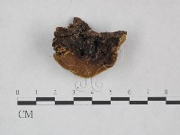 登錄號:F0025022藏品圖，第5張