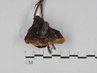 登錄號:F0025023藏品圖，第3張