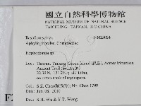 絲齒菌屬藏品圖，第2張