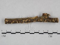 登錄號:F0025025藏品圖，第1張