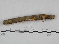 登錄號:F0025025藏品圖，第3張