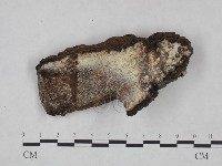 登錄號:F0025026藏品圖，第3張