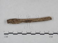 登錄號:F0025027藏品圖，第3張