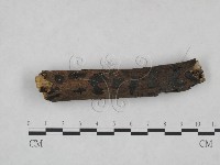 登錄號:F0025028藏品圖，第1張