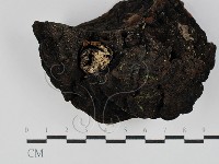 登錄號:F0025029藏品圖，第3張