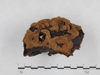 登錄號:F0025029藏品圖，第5張