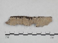 登錄號:F0025030藏品圖，第1張