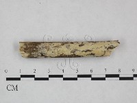 登錄號:F0025031藏品圖，第1張