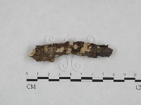 登錄號:F0025032藏品圖，第1張