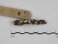 登錄號:F0025032藏品圖，第3張