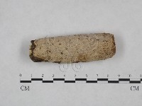 刺皮菌屬藏品圖，第1張