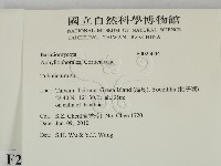 登錄號:F0025034藏品圖，第2張