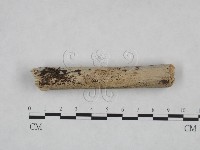 登錄號:F0025034藏品圖，第1張