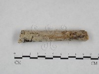 登錄號:F0025034藏品圖，第3張