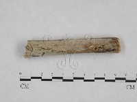 登錄號:F0025034藏品圖，第4張