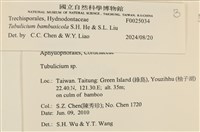 登錄號:F0025034藏品圖，第5張