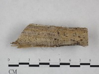 登錄號:F0025035藏品圖，第1張