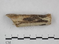 登錄號:F0025035藏品圖，第3張