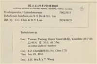 登錄號:F0025035藏品圖，第4張