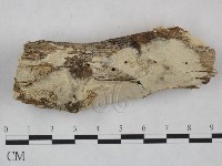 登錄號:F0025037藏品圖，第1張