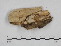 登錄號:F0025038藏品圖，第3張