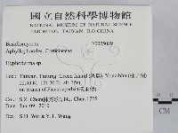 絲皮菌屬藏品圖，第2張