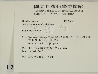 顯絲菌屬藏品圖，第2張