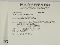 毛木耳藏品圖，第2張