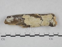 登錄號:F0025043藏品圖，第1張