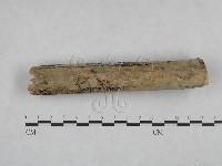 登錄號:F0025045藏品圖，第1張