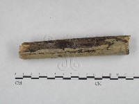 登錄號:F0025045藏品圖，第3張