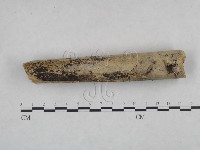 登錄號:F0025045藏品圖，第4張