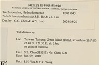 登錄號:F0025045藏品圖，第5張