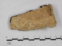 登錄號:F0025046藏品圖，第1張