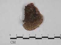 登錄號:F0025047藏品圖，第3張