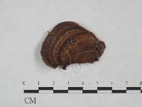 登錄號:F0025047藏品圖，第4張
