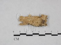 登錄號:F0025048藏品圖，第3張