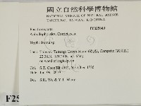絲皮菌屬藏品圖，第2張