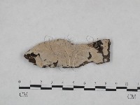 登錄號:F0025051藏品圖，第1張
