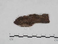 登錄號:F0025051藏品圖，第3張