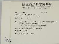 登錄號:F0025052藏品圖，第2張