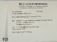 登錄號:F0025053藏品圖，第2張