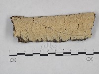 登錄號:F0025053藏品圖，第1張