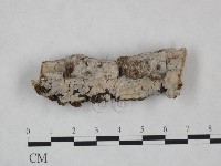 登錄號:F0025054藏品圖，第1張