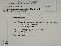 登錄號:F0025055藏品圖，第2張