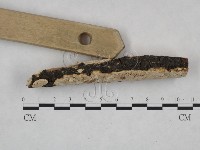 登錄號:F0025055藏品圖，第3張