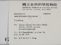 栓菌屬藏品圖，第2張